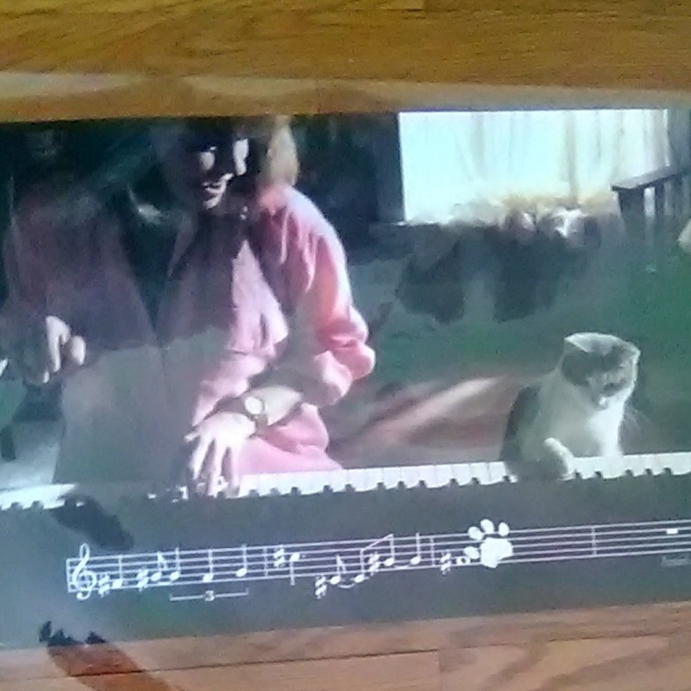 Amore Cat Ad Poster